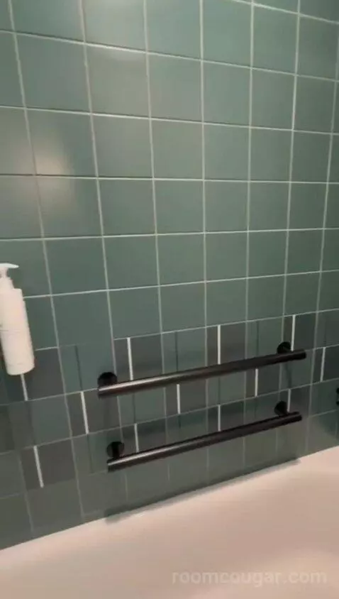 King Room, Accessible (#541) bathroom picture #8
