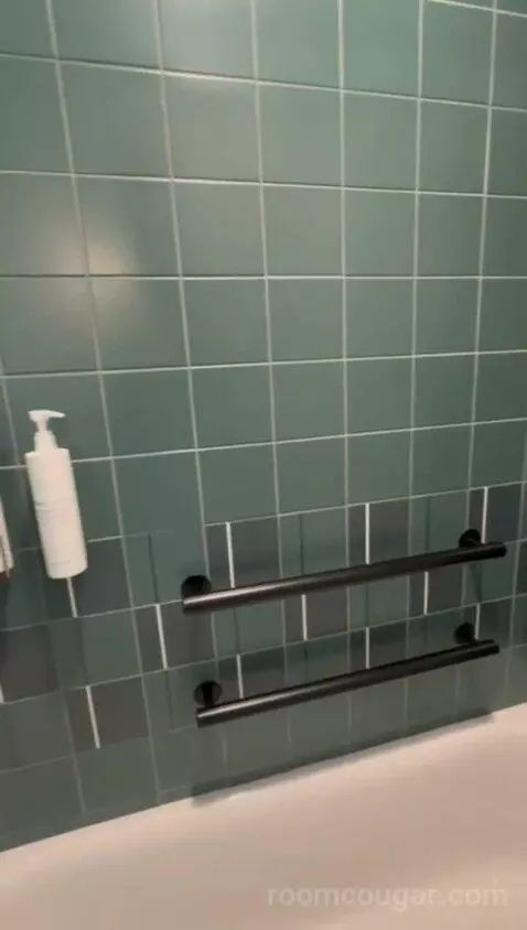 King Room, Accessible (#541) bathroom picture #9