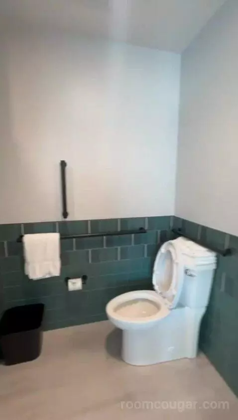 King Room, Accessible (#541) bathroom picture #10