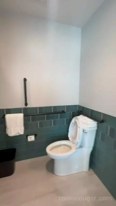 King Room, Accessible (#541) bathroom picture #11