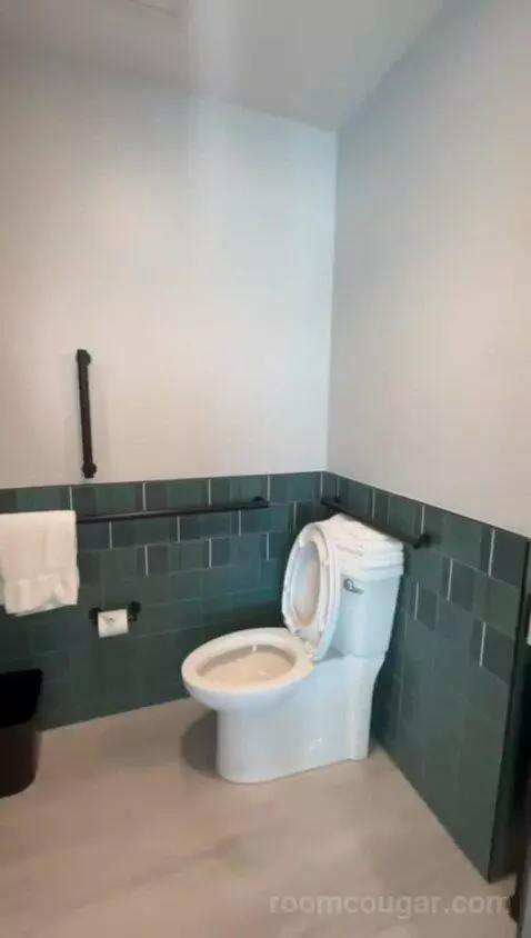 King Room, Accessible (#541) bathroom picture #12