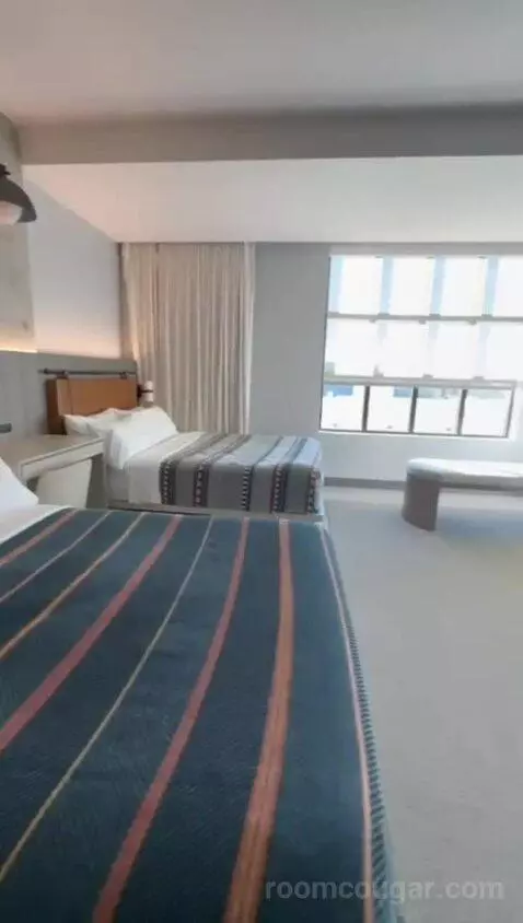 King Room, Accessible (#541) bed picture #11