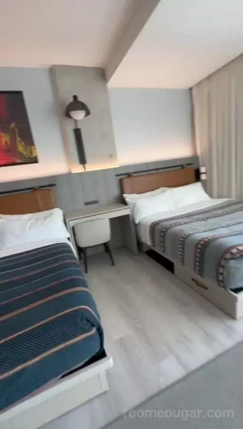 King Room, Accessible (#541) bed picture #7