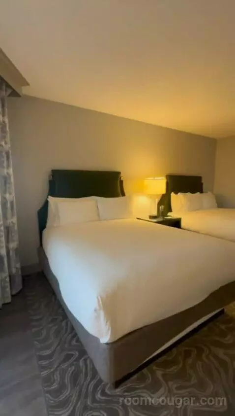 Premium Bay View Tower, Guest Room, 2 Queen (#566) bed picture #5