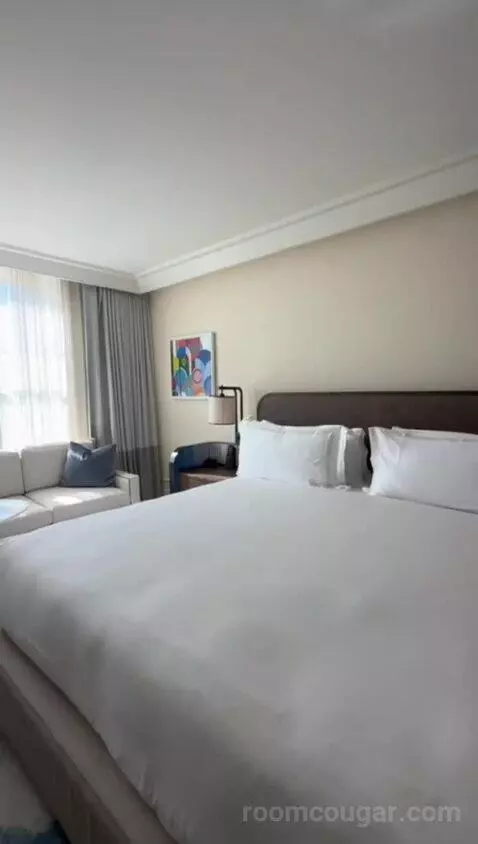 Deluxe Guestroom with Resort Views, Historic Building, 1 King (#539) bed picture #8