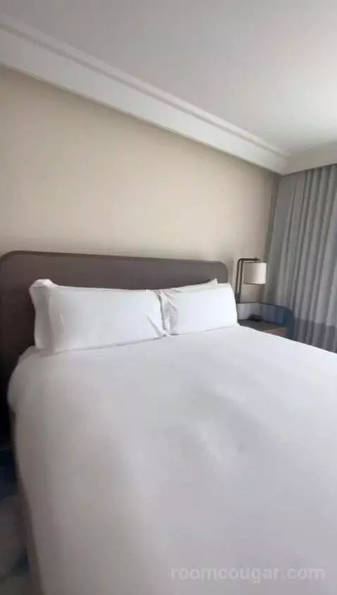 Premium Guestroom with Bay View, Historic Building, High Floor, 1 King (#647) bed picture #4