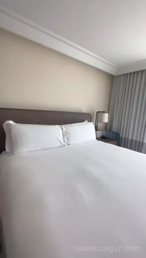 Premium Guestroom with Bay View, Historic Building, High Floor, 1 King (#647) bed picture #5
