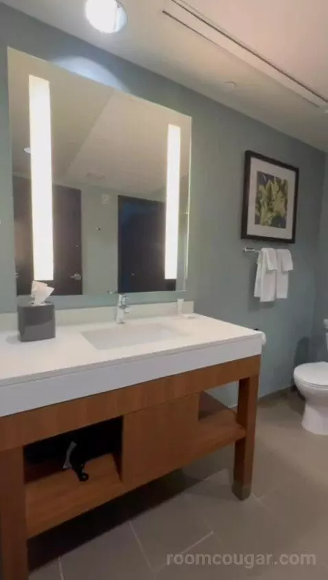 King Suite with Sofa Bed (#701) bathroom picture #1