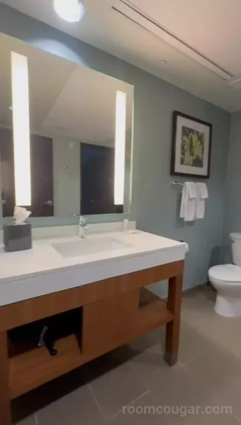 King Suite with Sofa Bed (#701) bathroom picture #2