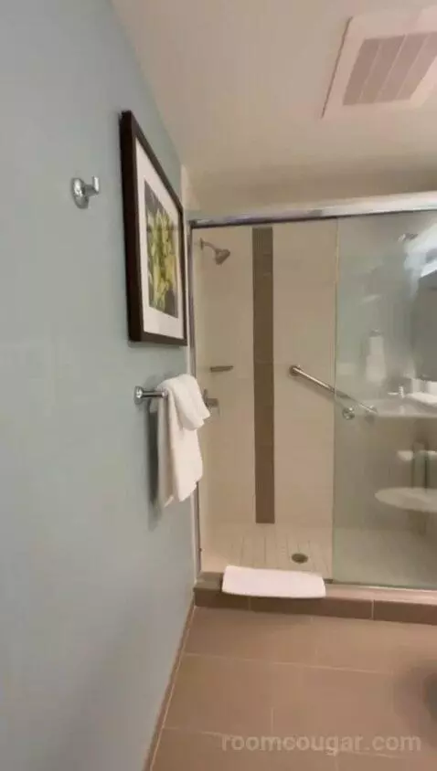 Corner King Room with Partial Water View (#1501) bathroom picture #5