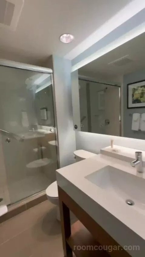 Corner King Room with Partial Water View (#1501) bathroom picture #7