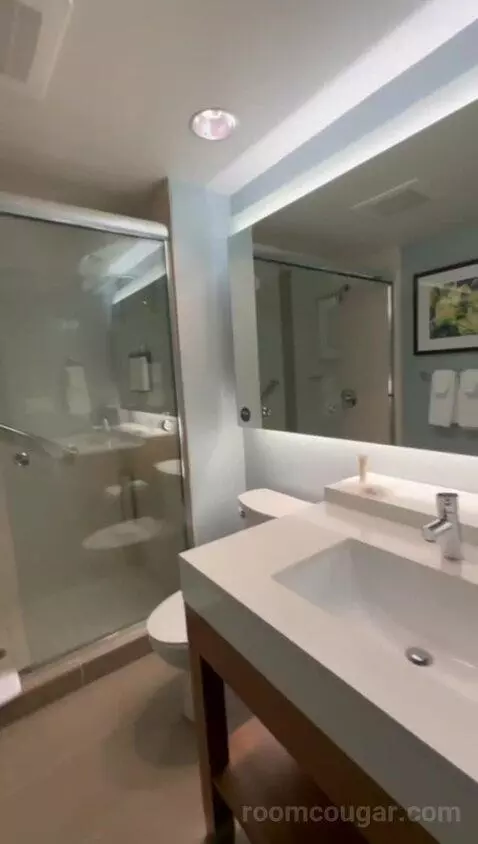 Corner King Room with Partial Water View (#1501) bathroom picture #8