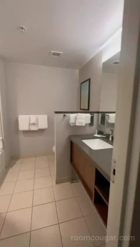 Queen Room with Two Queen Beds (#415) bathroom picture #1