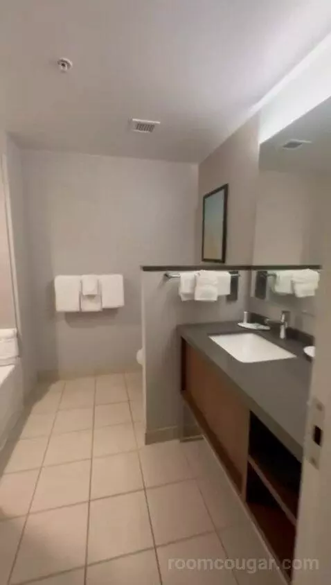 Queen Room with Two Queen Beds (#415) bathroom picture #3