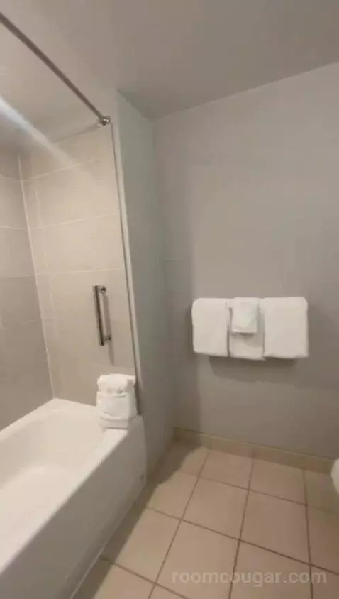 Queen Room with Two Queen Beds (#415) bathroom picture #4
