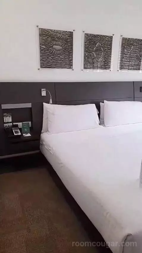 Luxury King Room (#312) bed picture #9