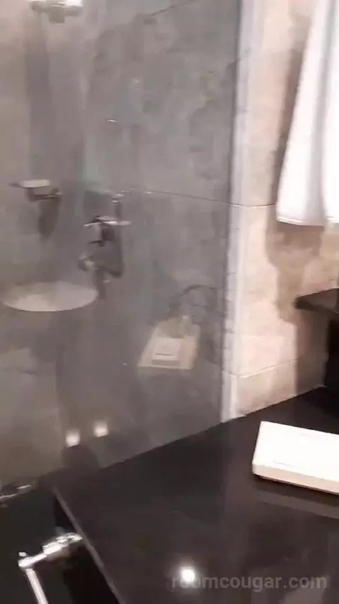 Luxury King Room (#312) bathroom picture #4