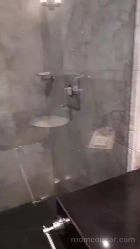 Luxury King Room (#312) bathroom picture #5