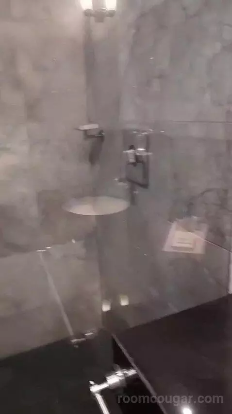 Luxury King Room (#312) bathroom picture #6
