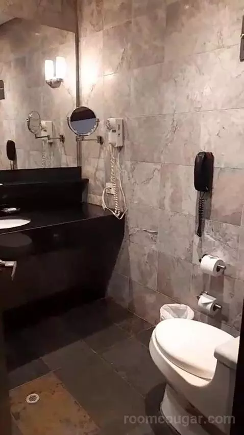 Luxury King Room (#312) bathroom picture #2