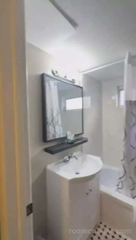 One-Bedroom Apartment (#203) bathroom picture #4