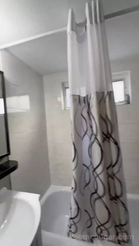 One-Bedroom Apartment (#203) bathroom picture #6