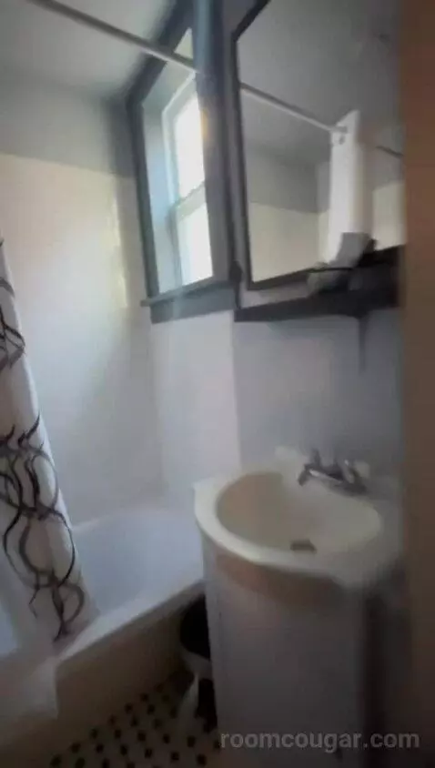 Deluxe Queen Room bathroom picture #9