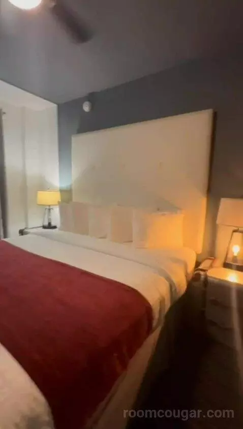 Deluxe Queen Room bed picture #9