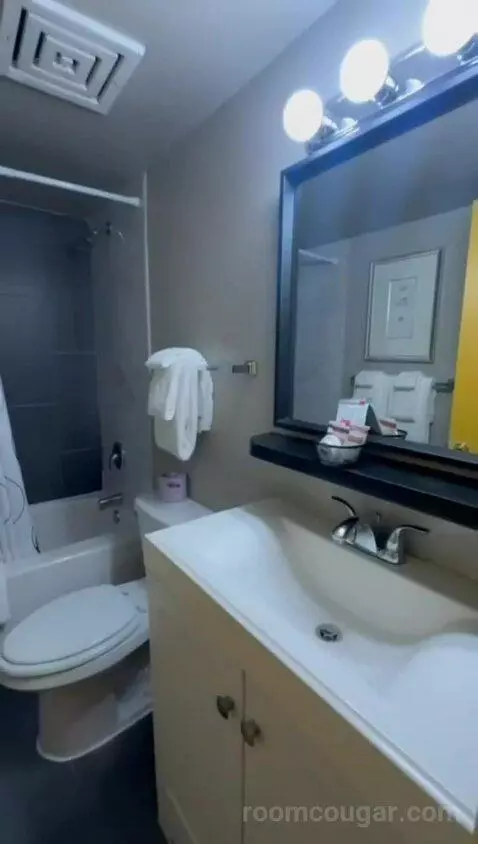King Suite with Sofa Bed (#334) bathroom picture #4