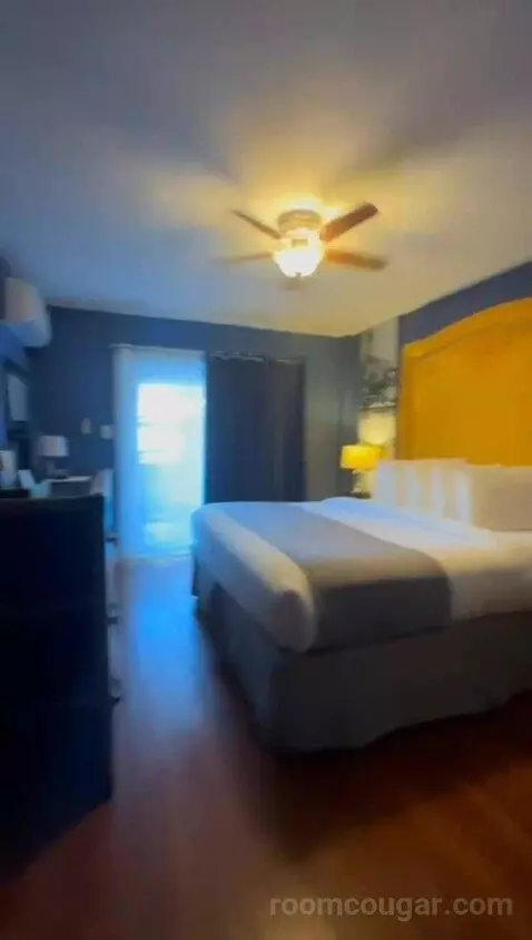 King Room Balcony (#120) bed picture #8