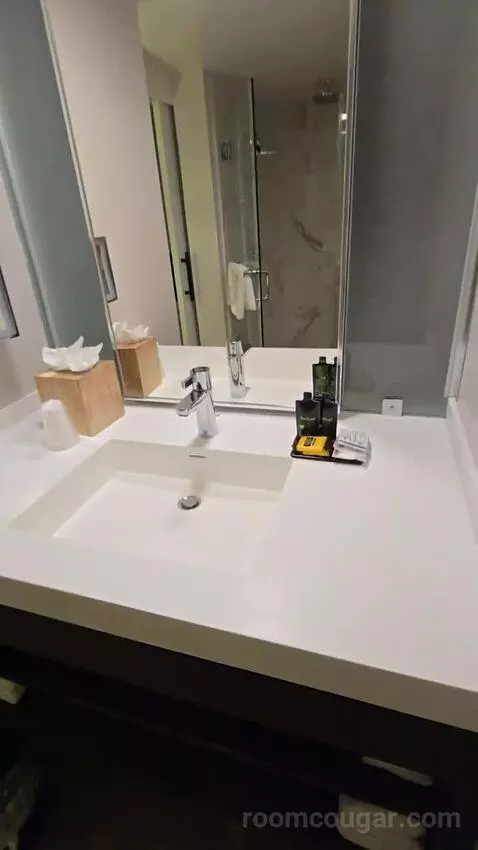 Queen Room with Two Queen Beds and City View (#904) bathroom picture #9