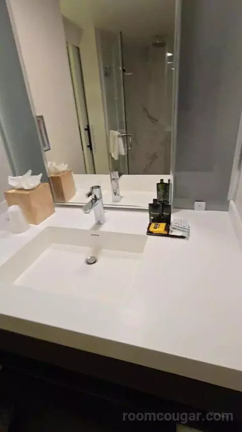 Queen Room with Two Queen Beds and City View (#904) bathroom picture #10