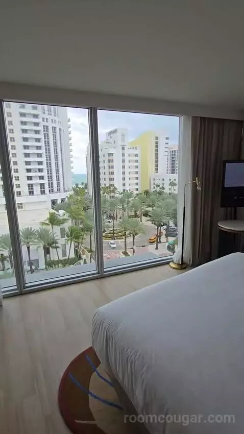 Deluxe King Room (#901) view picture #1
