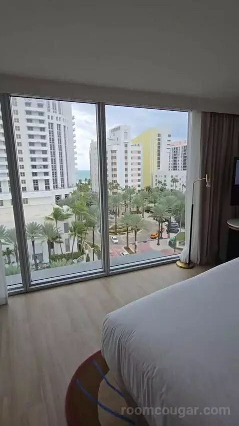 Deluxe King Room (#901) view picture #2