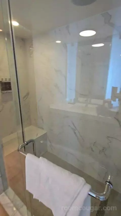 Deluxe King Room (#901) bathroom picture #2