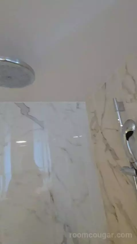 Deluxe King Room (#901) bathroom picture #4