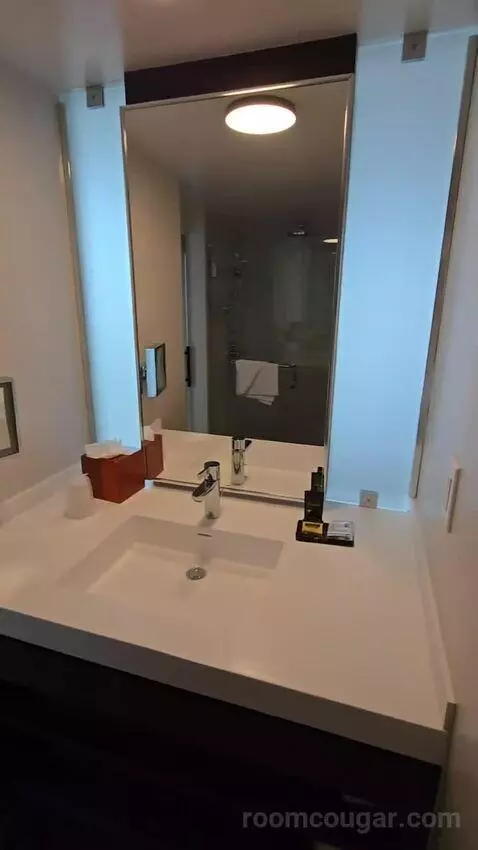 Deluxe King Room (#901) bathroom picture #10