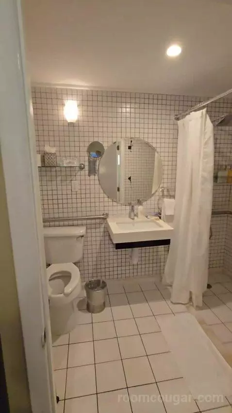 Junior Suite King (#102) bathroom picture #2