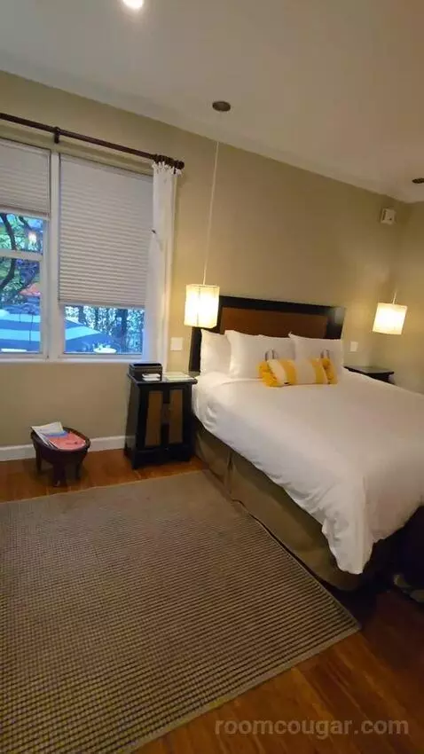 Junior Suite King (#102) bed picture #8