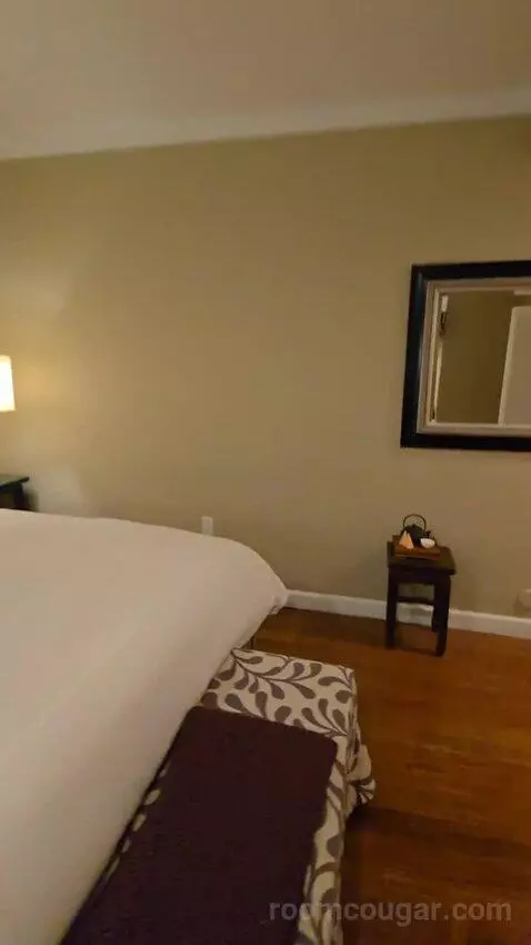 Junior Suite King (#102) bed picture #10