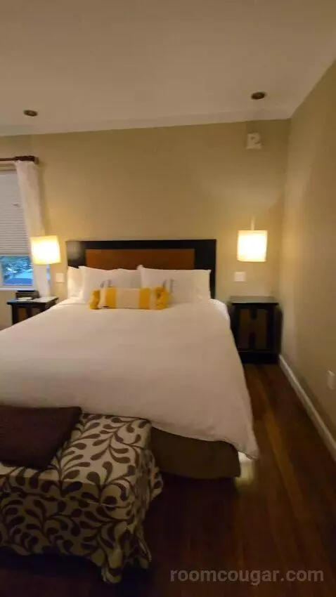 Junior Suite King (#102) bed picture #3