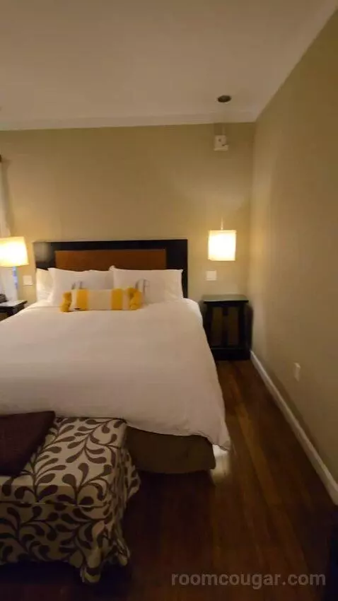 Junior Suite King (#102) bed picture #4