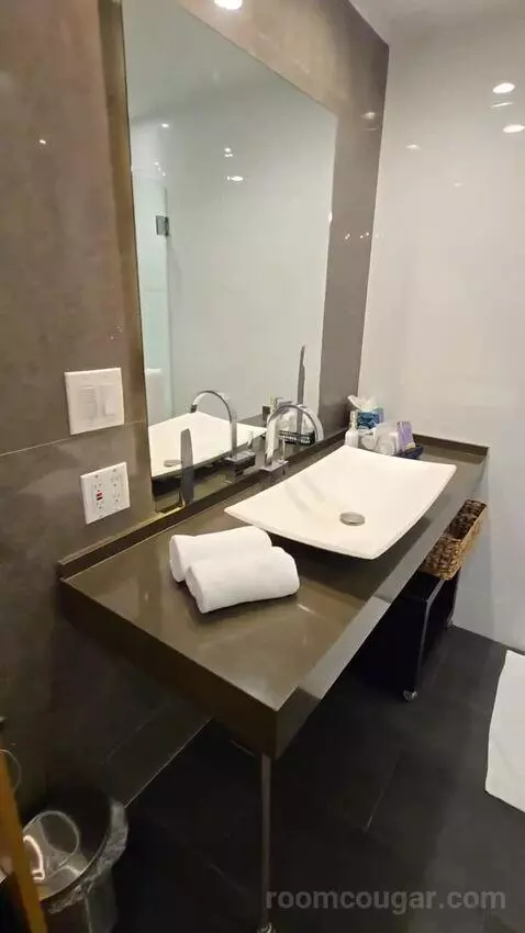 Superior King Room (#107) bathroom picture #1