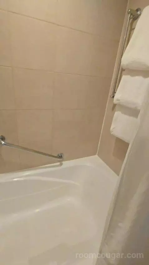 Sagamore Two Double Beds Suite (#403) bathroom picture #7