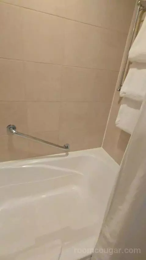 Sagamore Two Double Beds Suite (#403) bathroom picture #8
