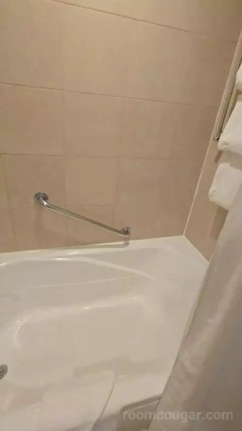 Sagamore Two Double Beds Suite (#403) bathroom picture #9