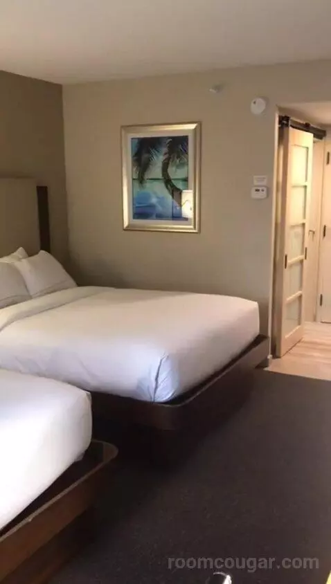 2 Queen Beds (#113) bed picture #8