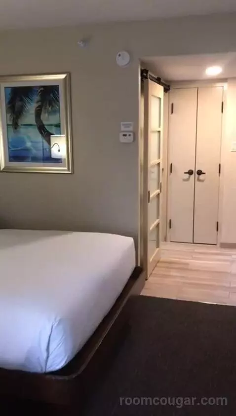 2 Queen Beds (#113) bed picture #9