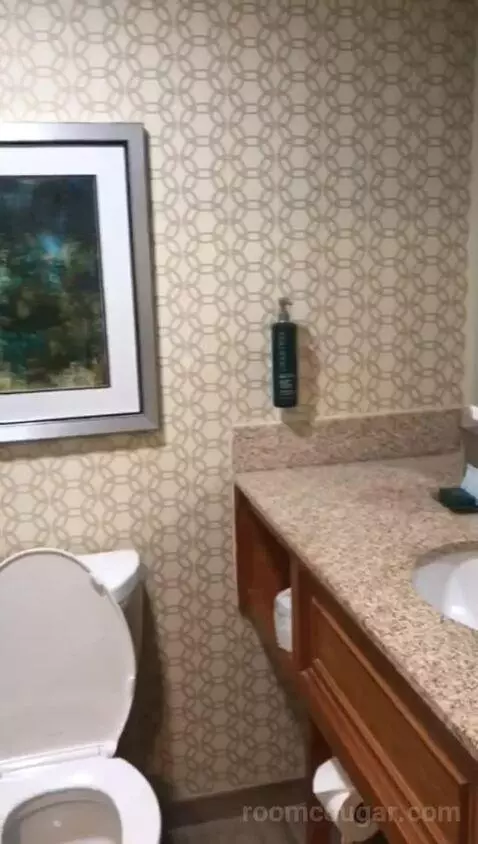2 Queen Beds (#113) bathroom picture #3