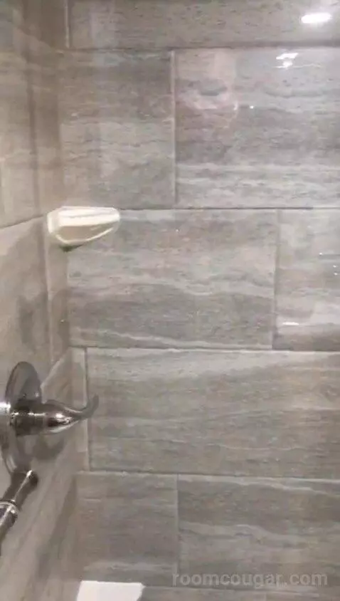 2 Queen Beds (#113) bathroom picture #6